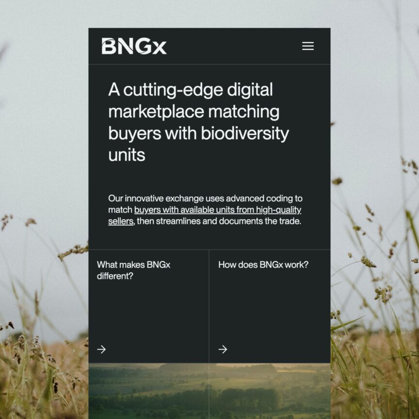 BNGx